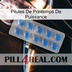 Power Spring Pills 22